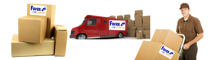 forex cargo bahrain contact